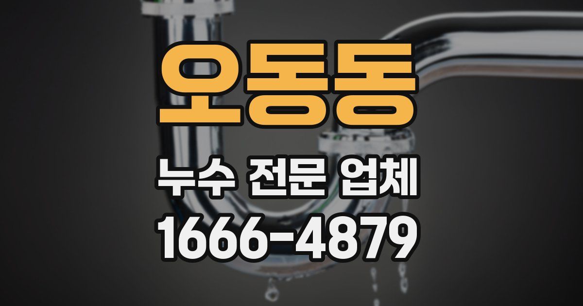 오동동 누수 전문 업체