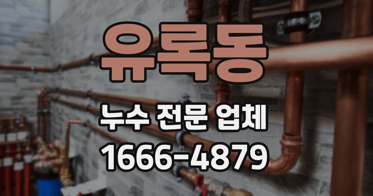 유록동 누수 전문 업체