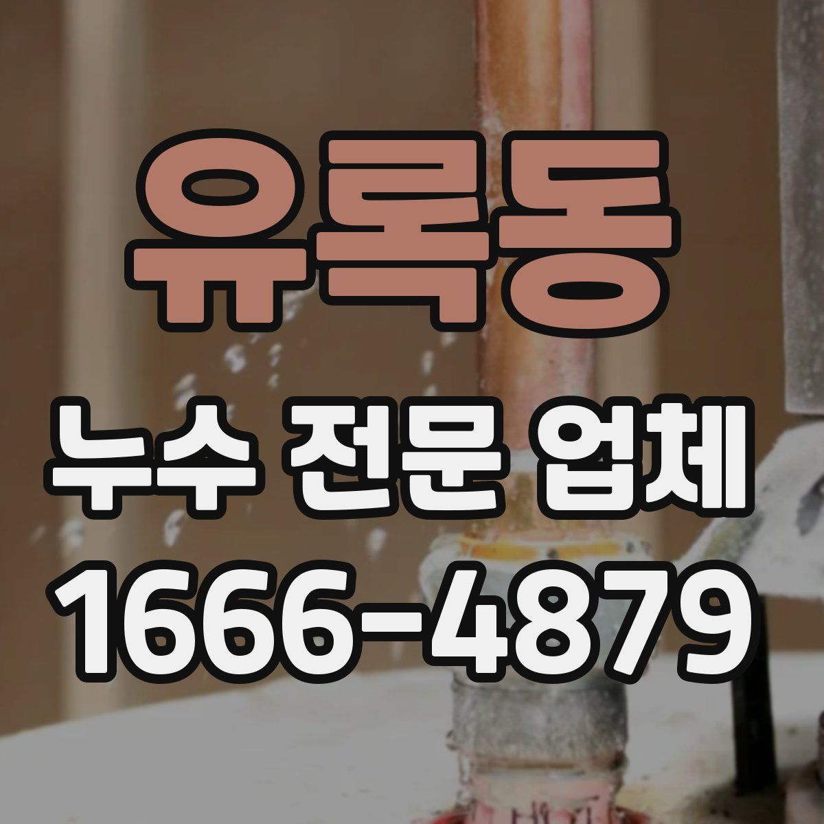 유록동 누수 전문 업체