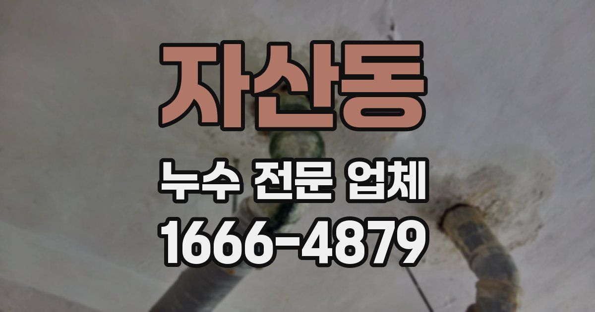자산동 누수 전문 업체