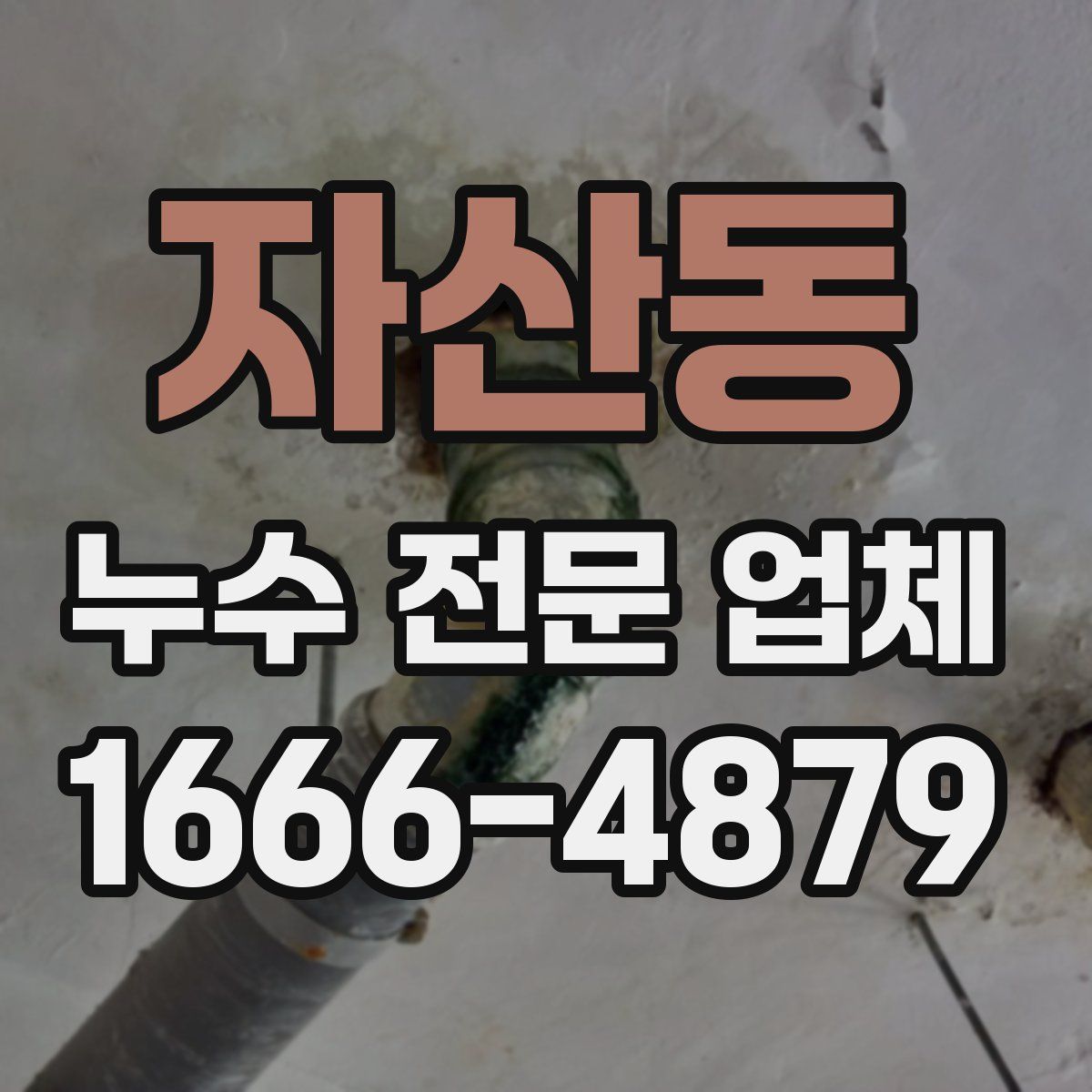자산동 누수 전문 업체
