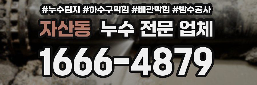 자산동 누수 전문 업체