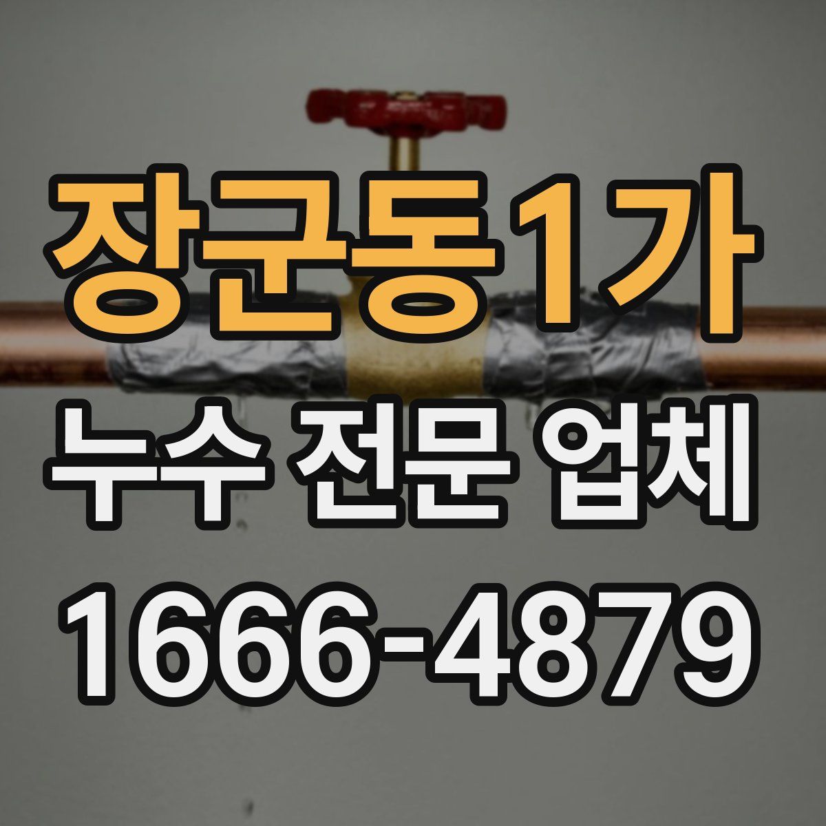 장군동1가 누수 전문 업체