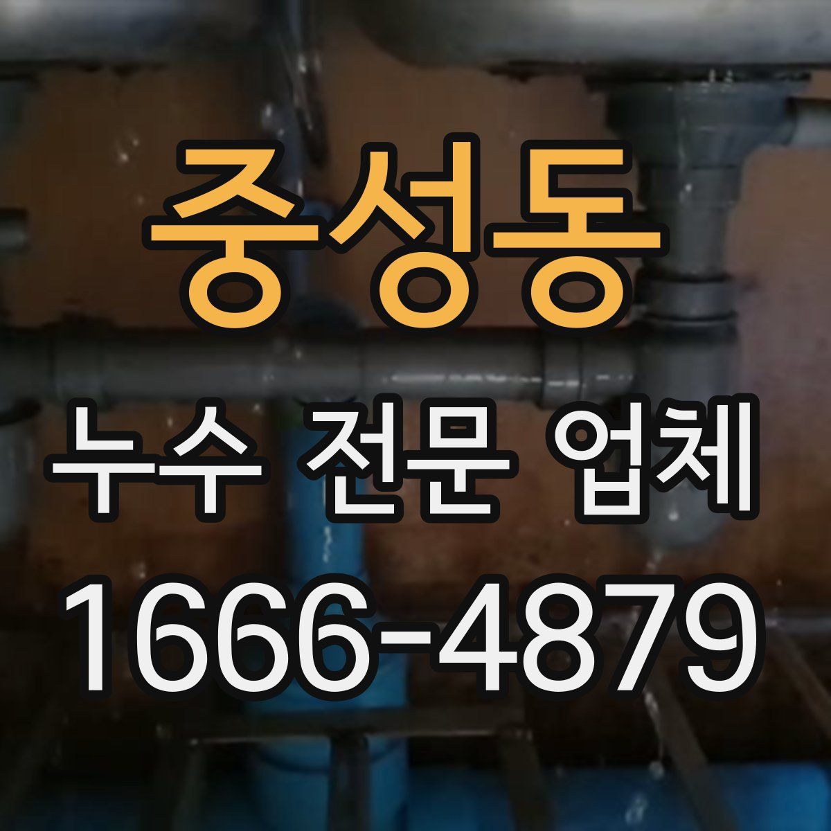 중성동 누수 전문 업체