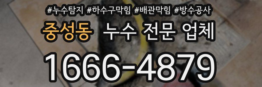 중성동 누수 전문 업체