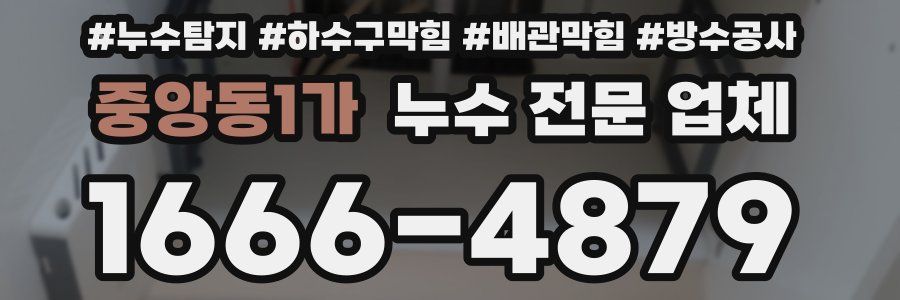 중앙동1가 누수 전문 업체