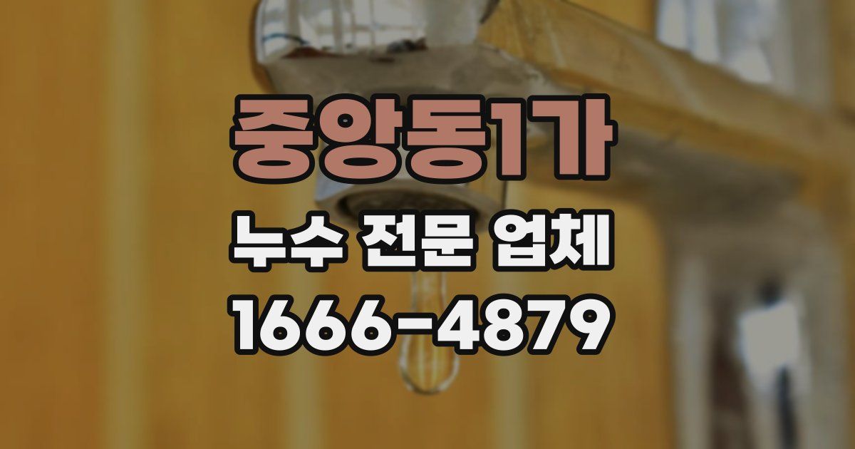 중앙동1가 누수 전문 업체