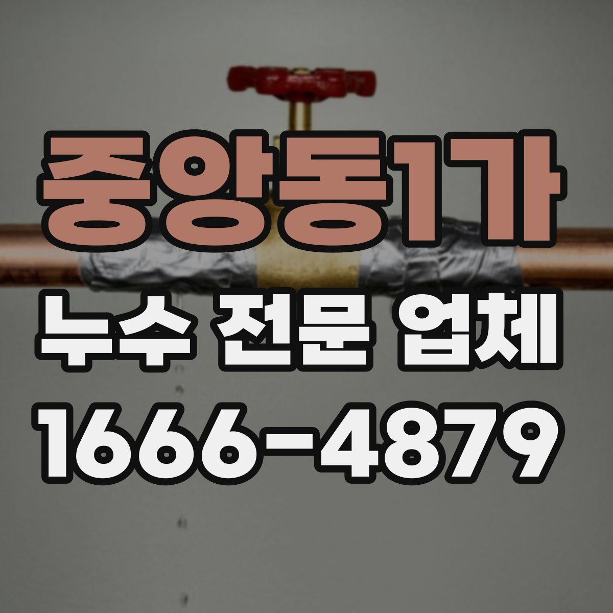 중앙동1가 누수 전문 업체