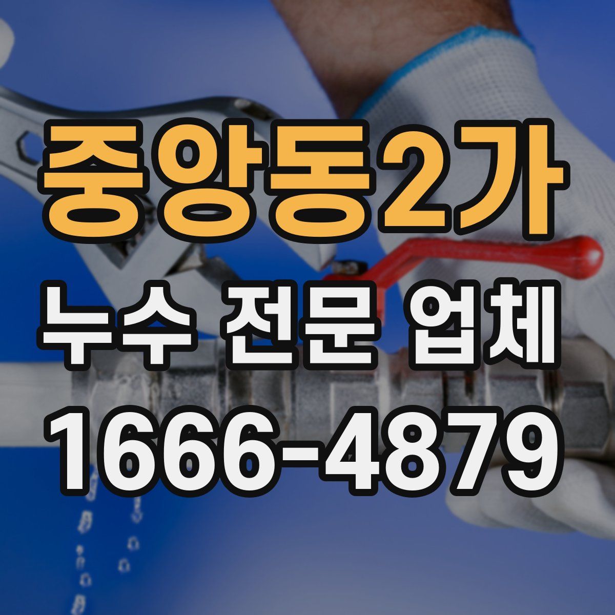 중앙동2가 누수 전문 업체