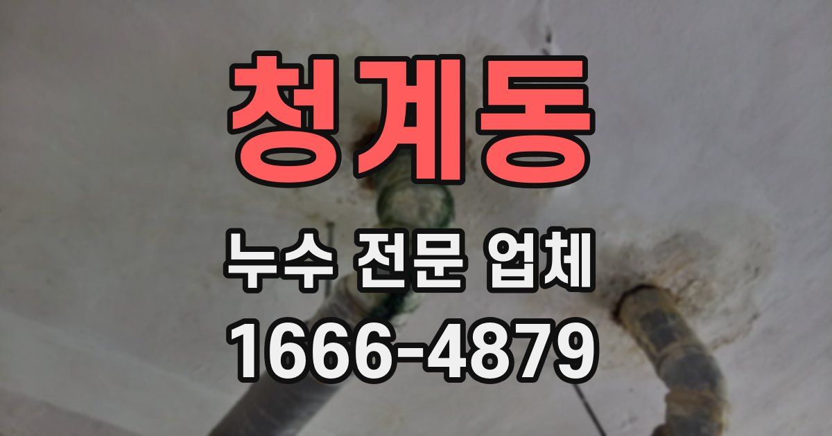 청계동 누수 전문 업체