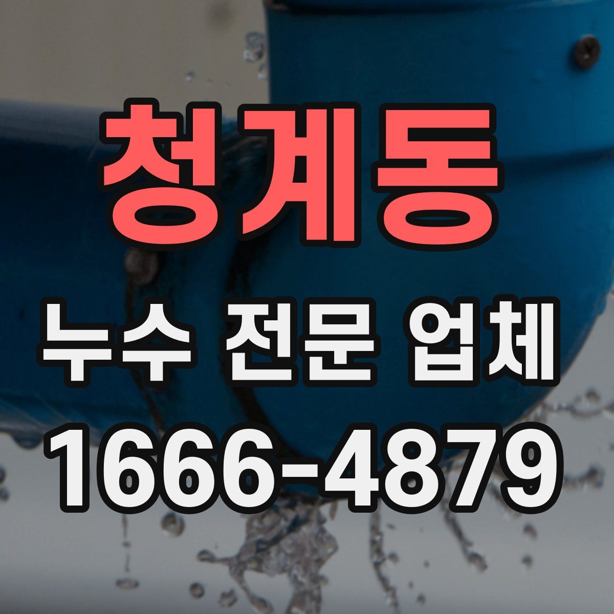 청계동 누수 전문 업체