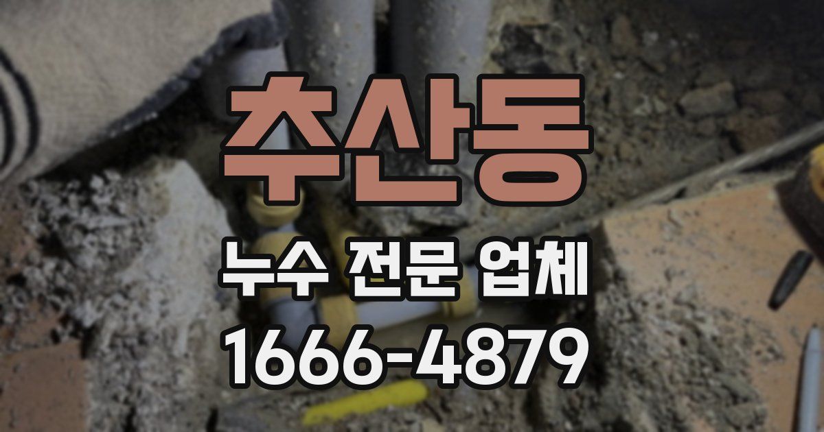 추산동 누수 전문 업체
