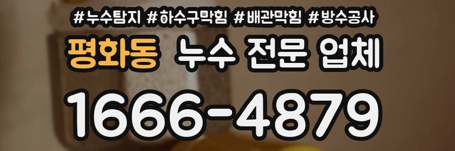 평화동 누수 전문 업체