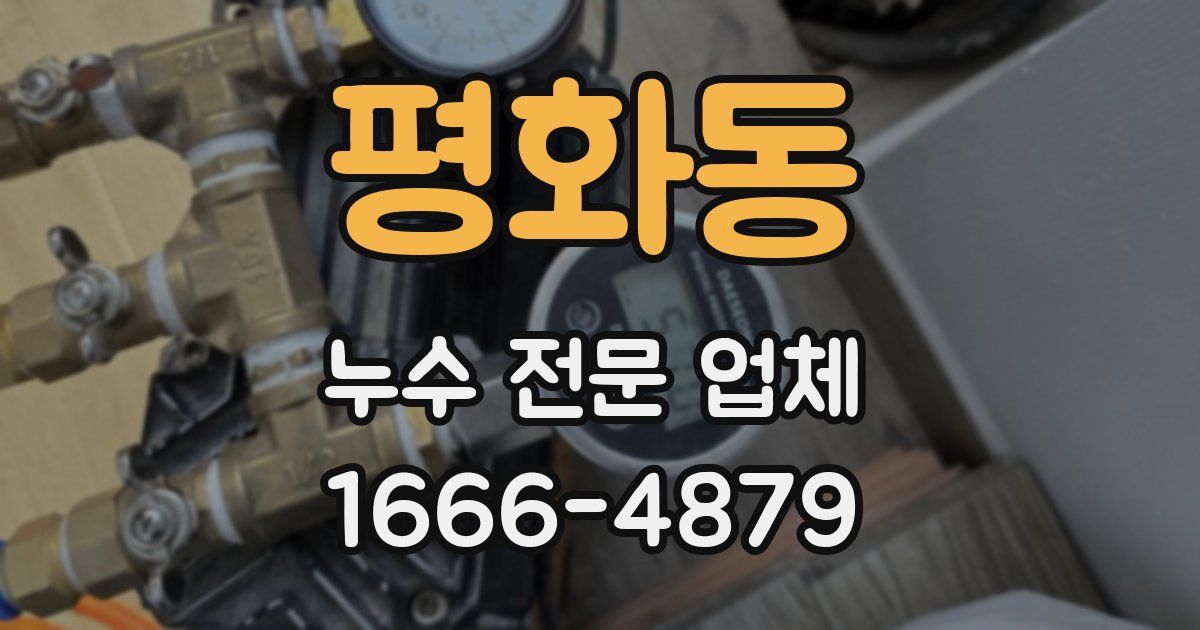 평화동 누수 전문 업체