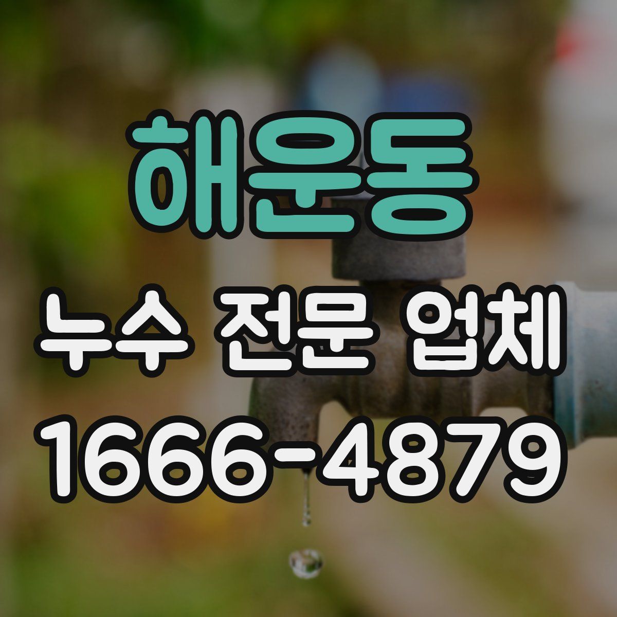 해운동 누수 전문 업체