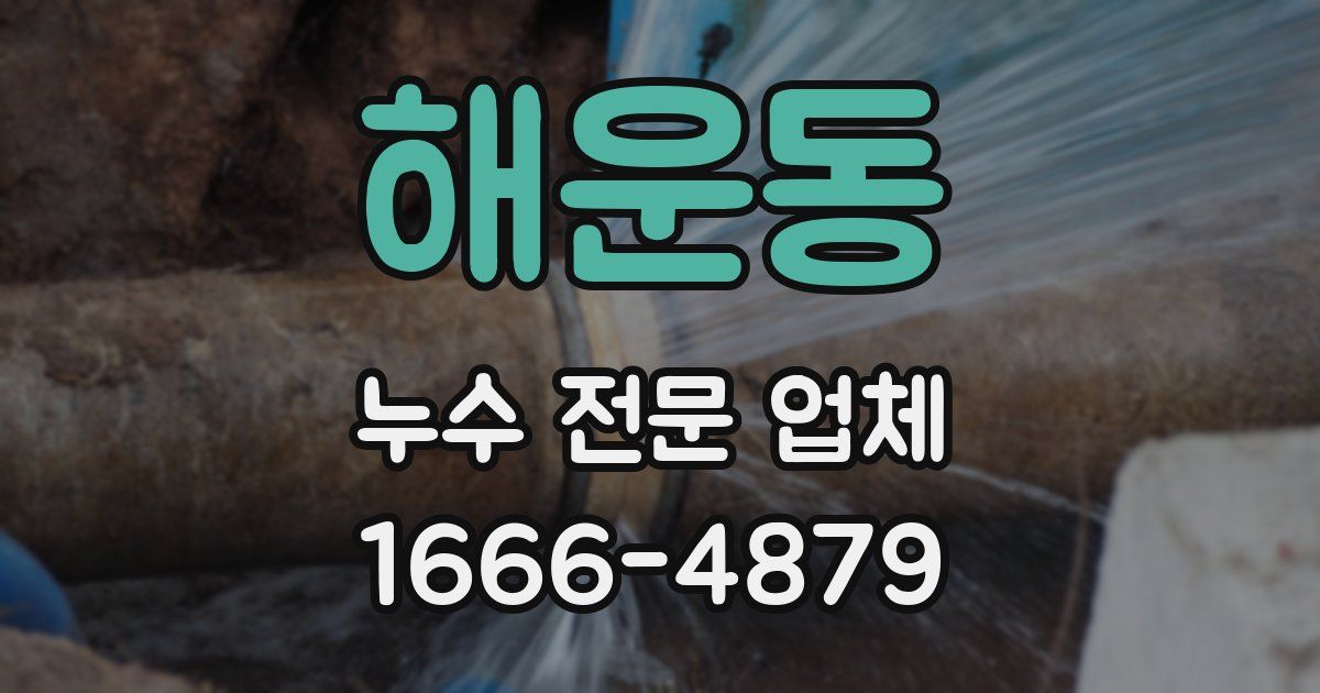 해운동 누수 전문 업체