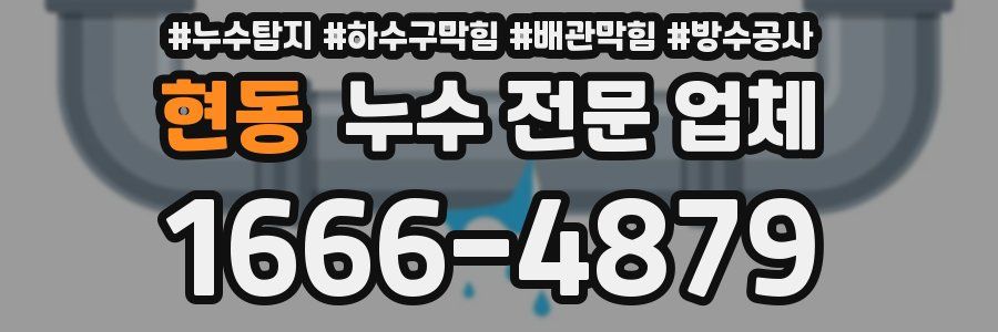 현동 누수 전문 업체