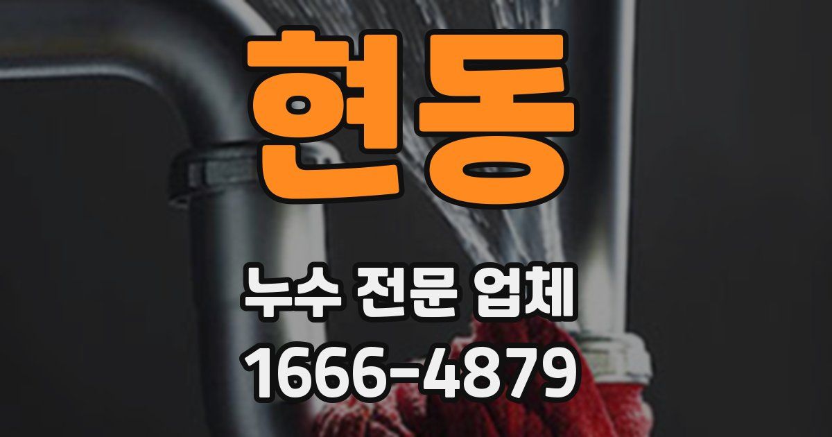 현동 누수 전문 업체