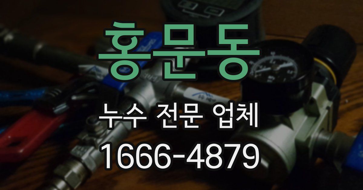 홍문동 누수 전문 업체