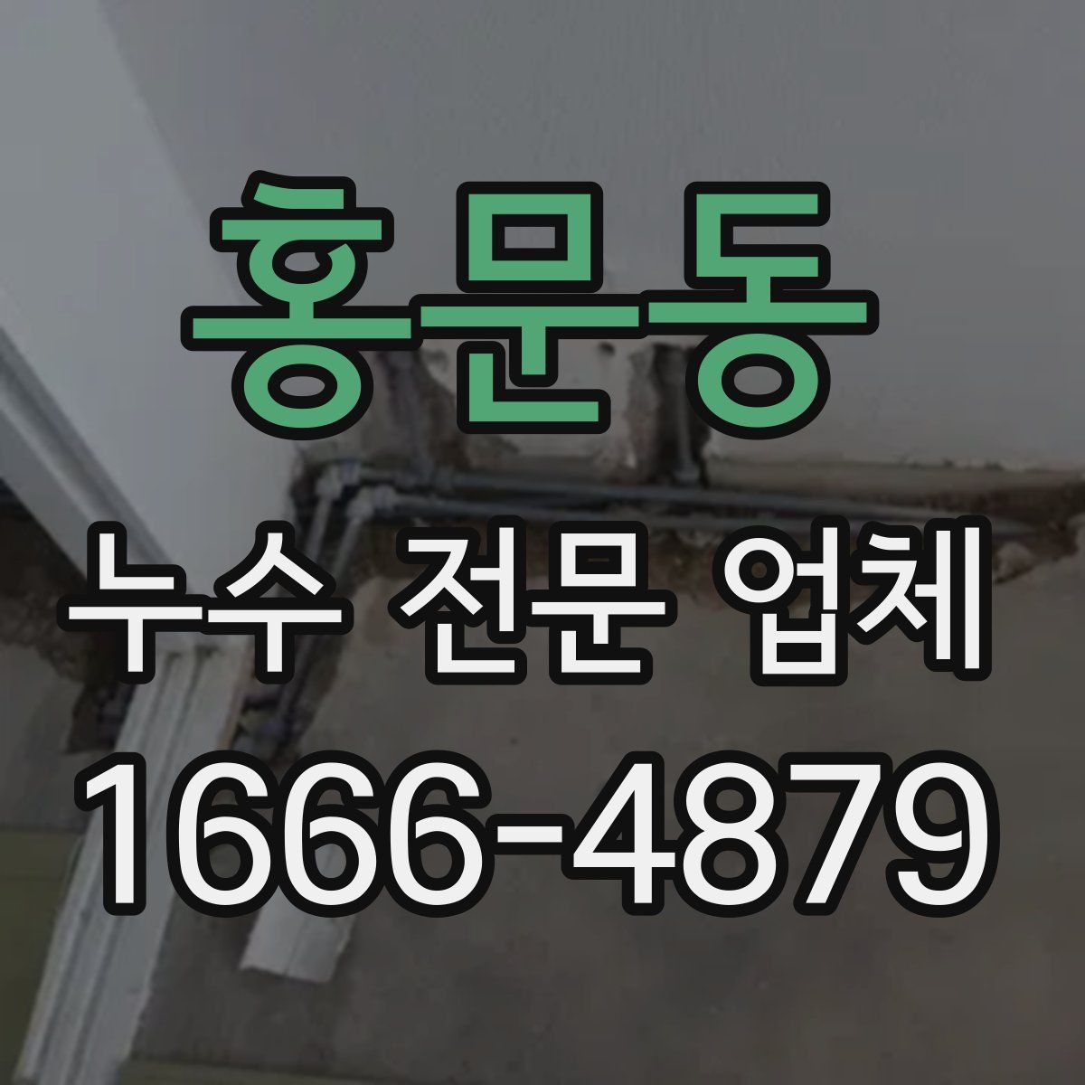 홍문동 누수 전문 업체