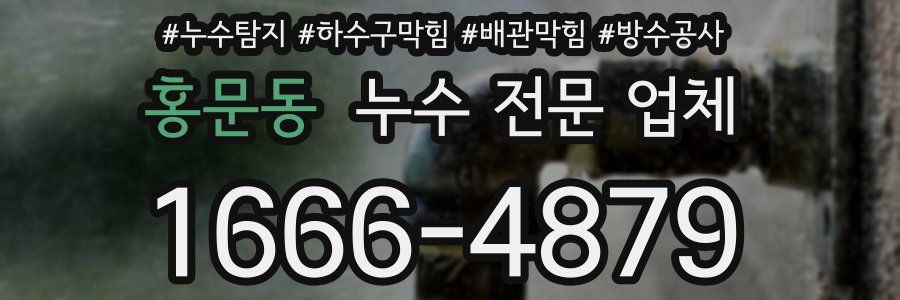홍문동 누수 전문 업체