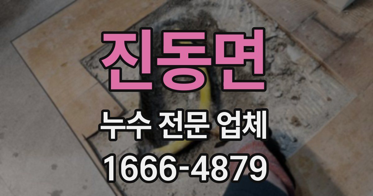 진동면 누수 전문 업체