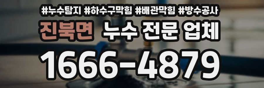 진북면 누수 전문 업체