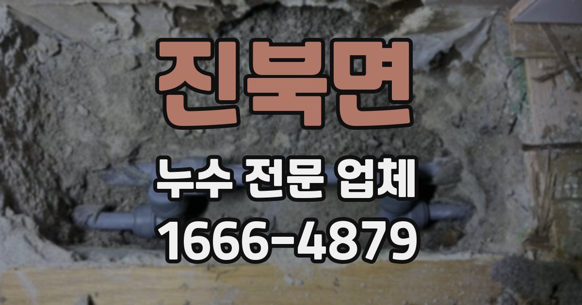 진북면 누수 전문 업체