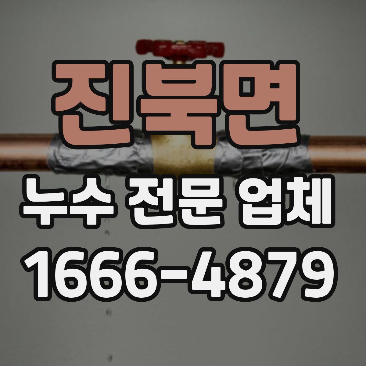 진북면 누수 전문 업체