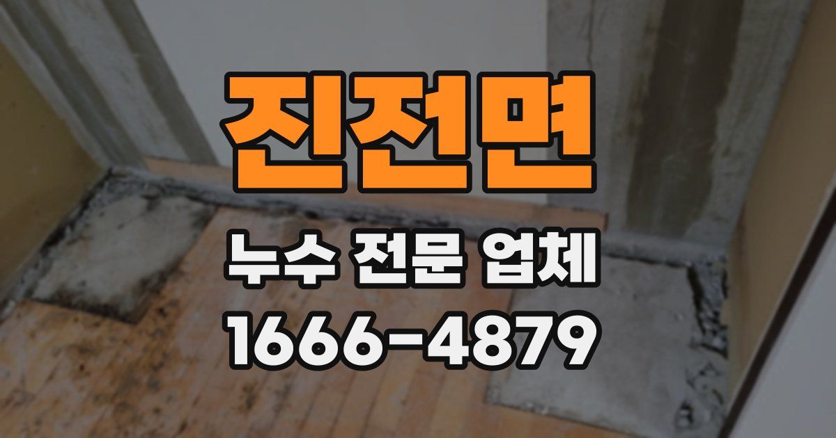 진전면 누수 전문 업체