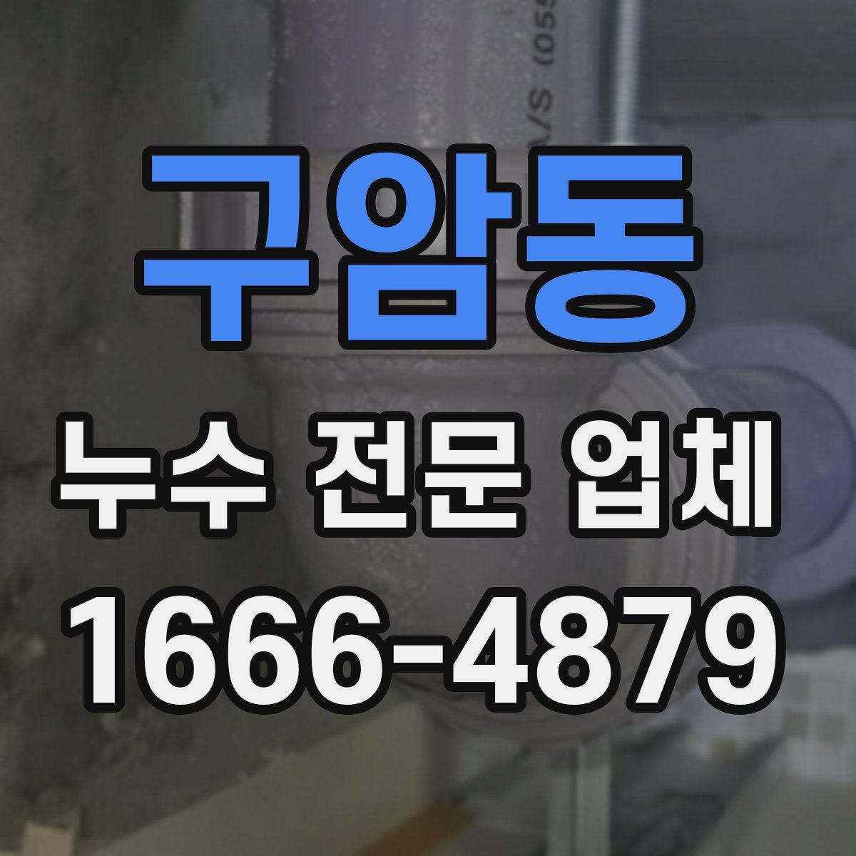 구암동 누수 전문 업체