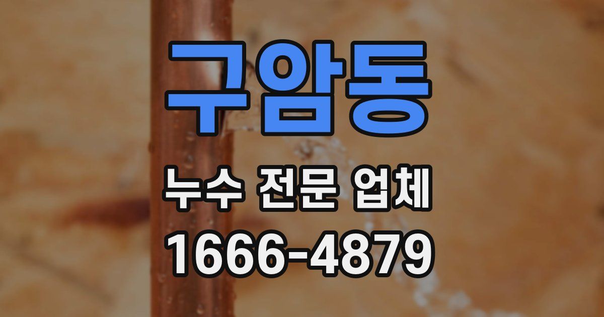 구암동 누수 전문 업체