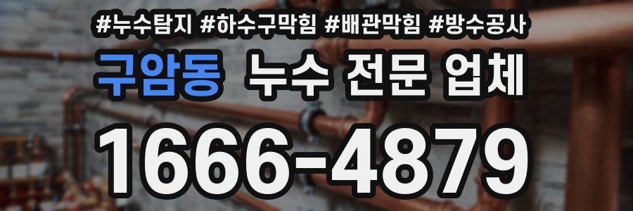 구암동 누수 전문 업체