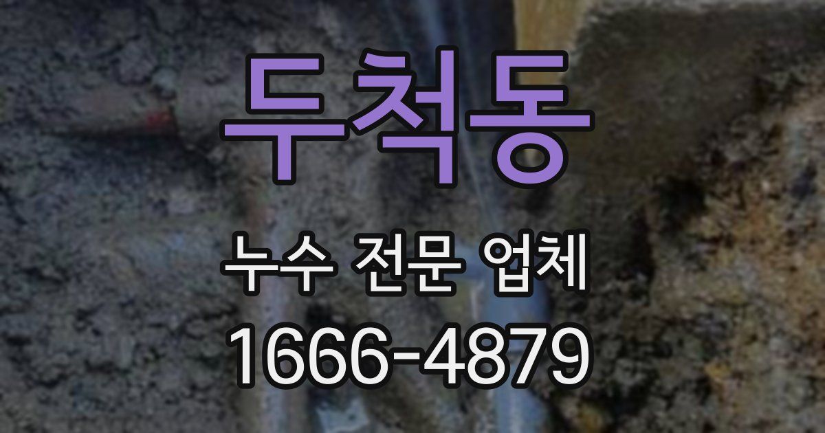 두척동 누수 전문 업체