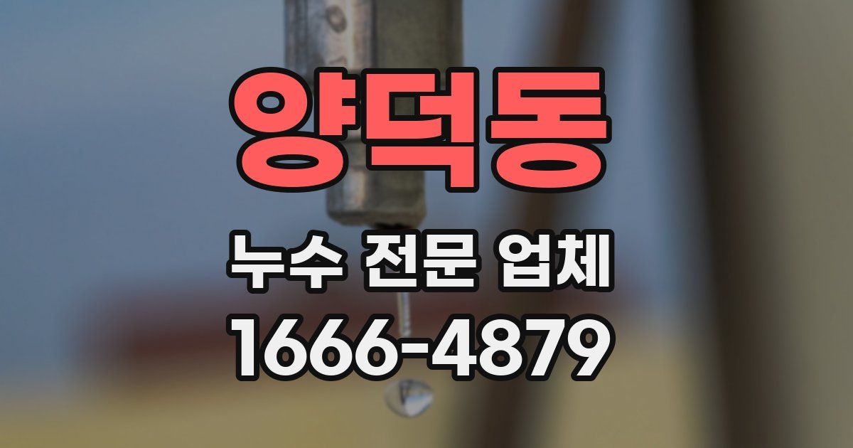 양덕동 누수 전문 업체