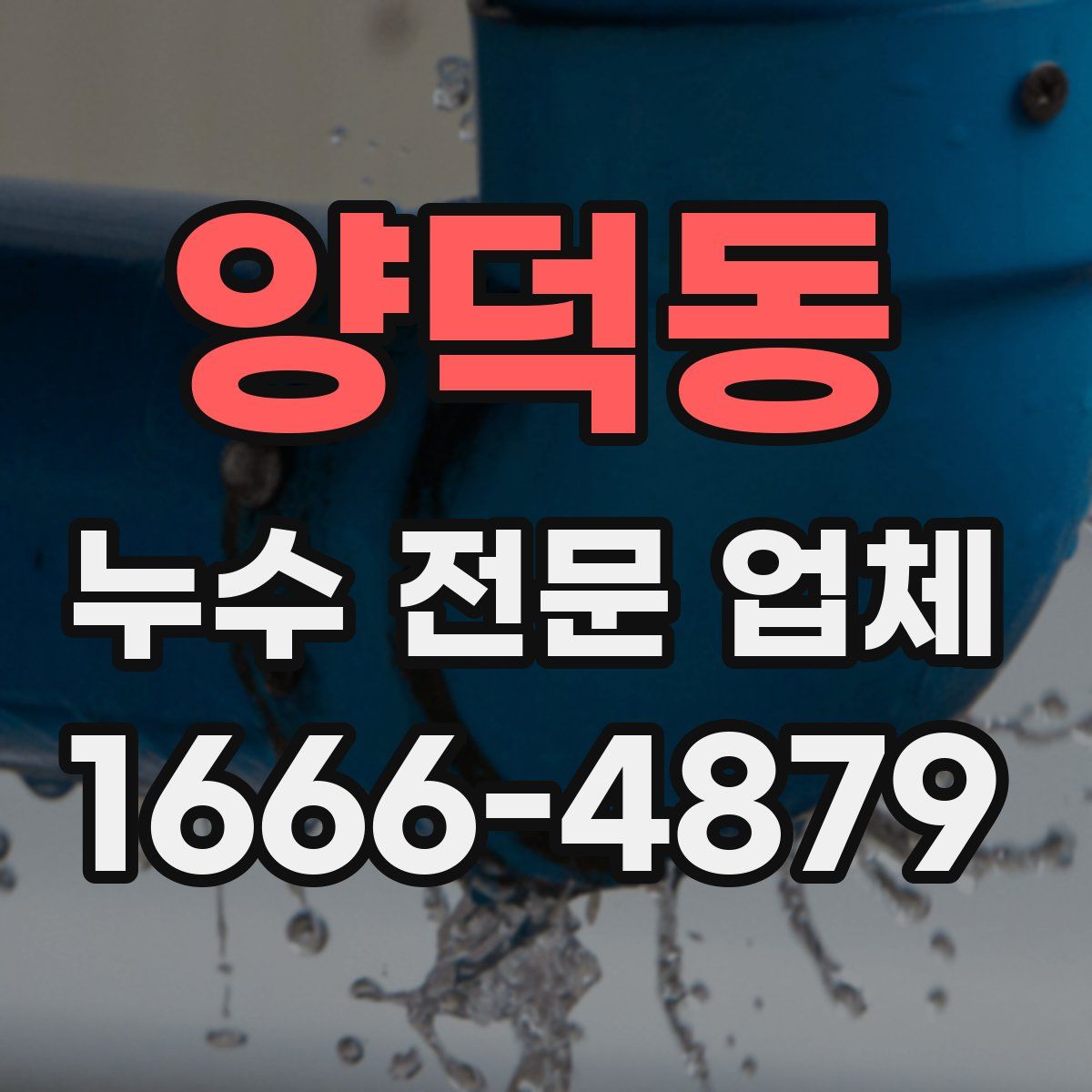 양덕동 누수 전문 업체