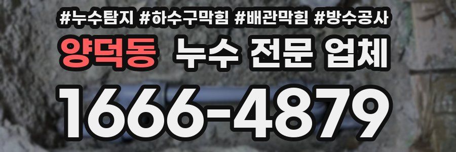 양덕동 누수 전문 업체