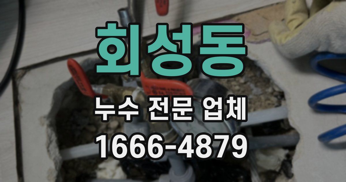 회성동 누수 전문 업체