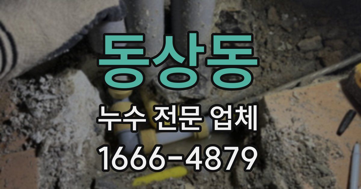 동상동 누수 전문 업체