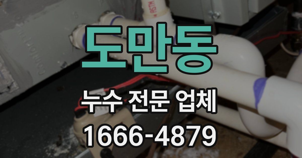 도만동 누수 전문 업체