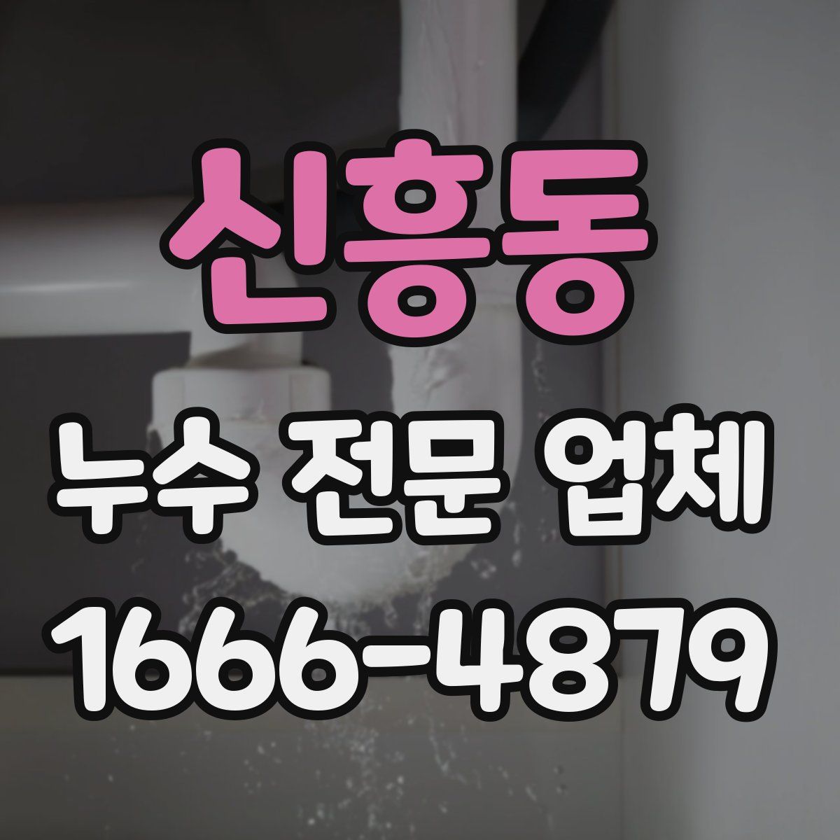 신흥동 누수 전문 업체