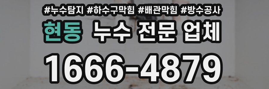현동 누수 전문 업체
