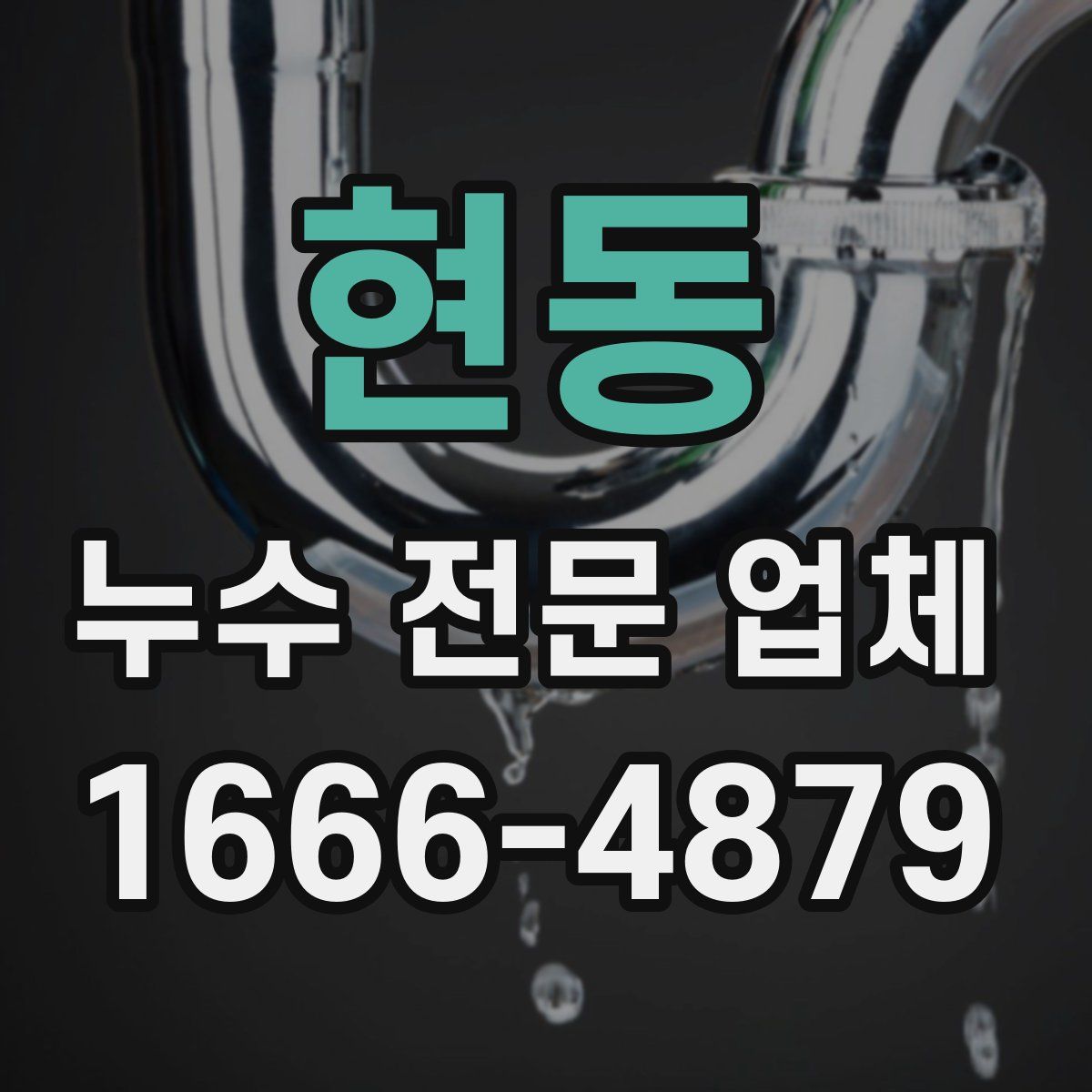 현동 누수 전문 업체