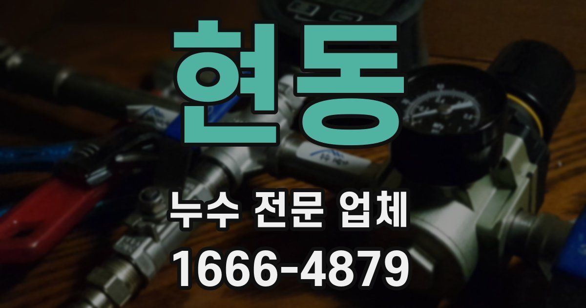 현동 누수 전문 업체