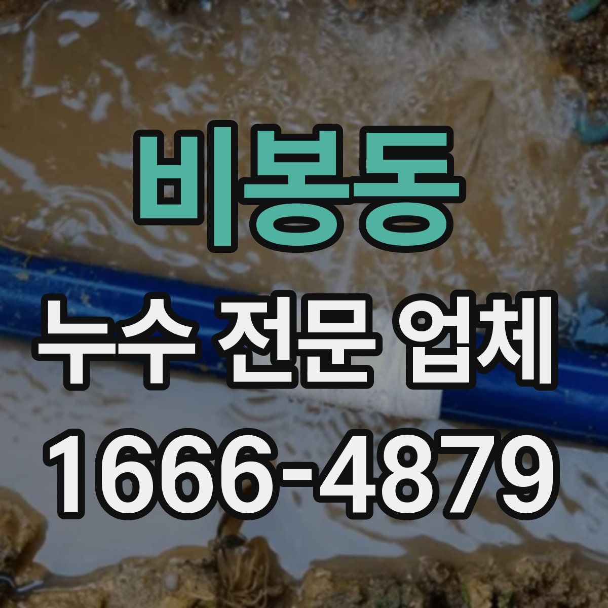 비봉동 누수 전문 업체