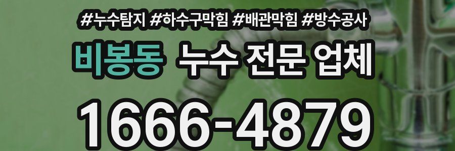 비봉동 누수 전문 업체