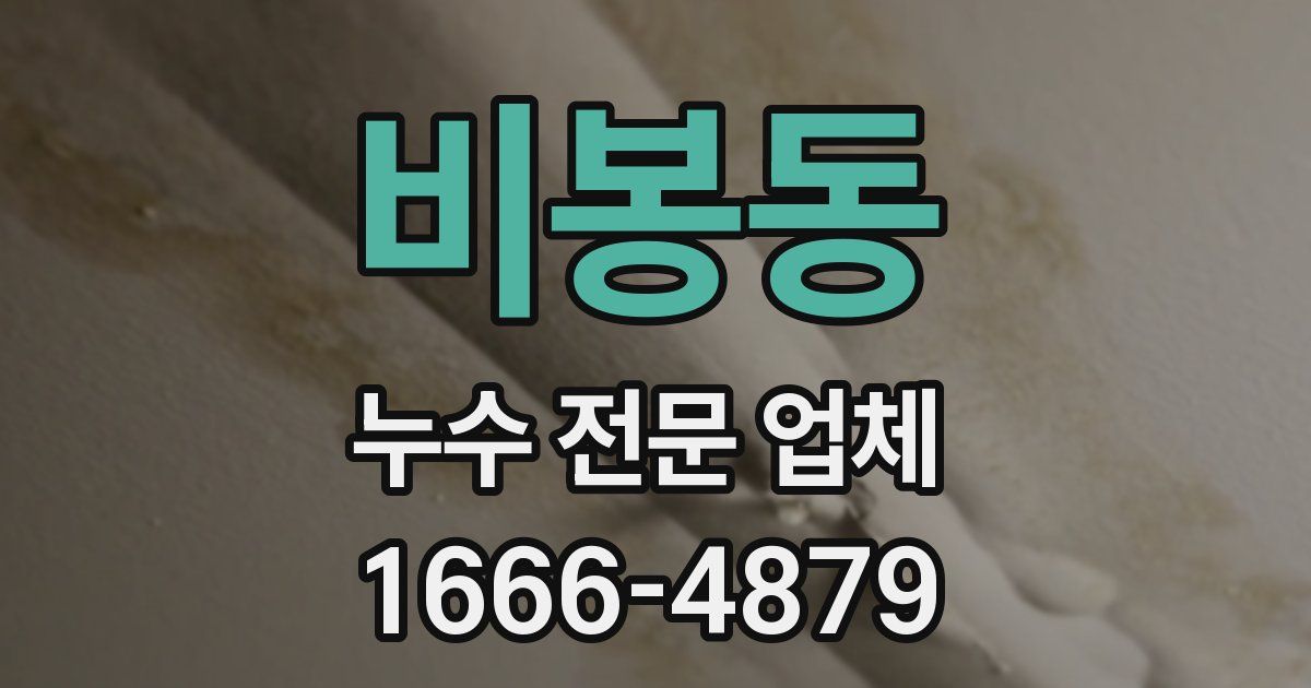 비봉동 누수 전문 업체