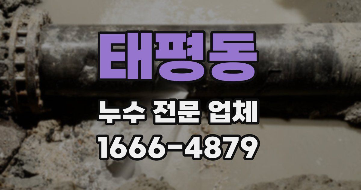 태평동 누수 전문 업체