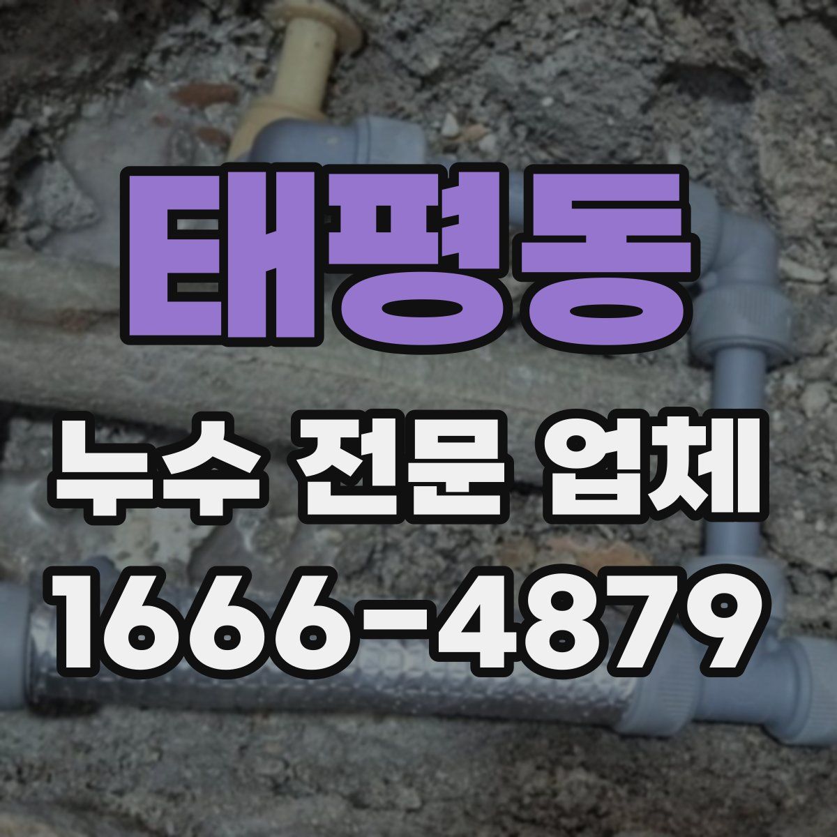 태평동 누수 전문 업체