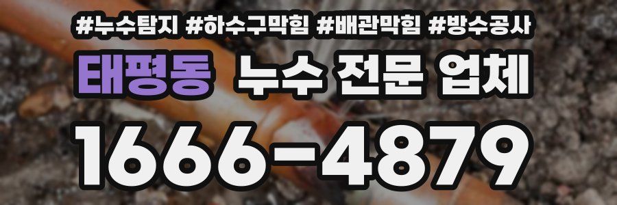 태평동 누수 전문 업체